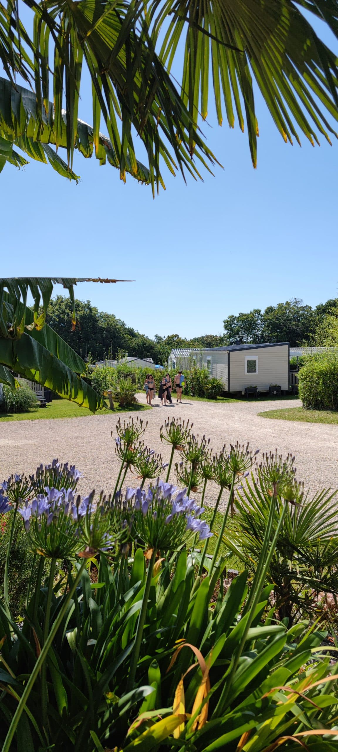 Emplacement de camping dans le finistère sud à Fouesnant